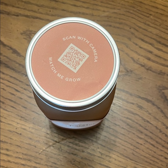 Basil and Parsley Hydroponic Grow Kit‎ Set, new - Picture 3 of 15